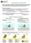 Soil resistivity measurement